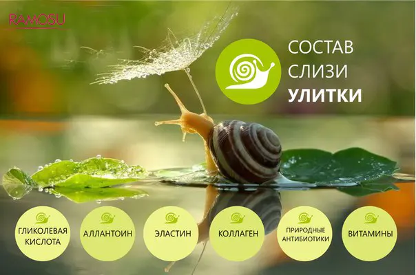 Улиточный муцин