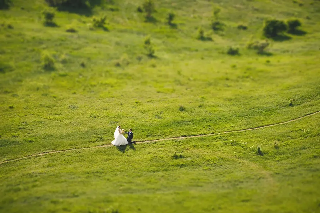 Wedding (1070)