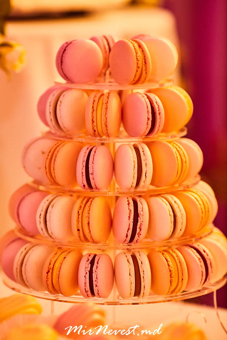 candy-bar-chisinau