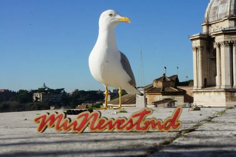 Рим