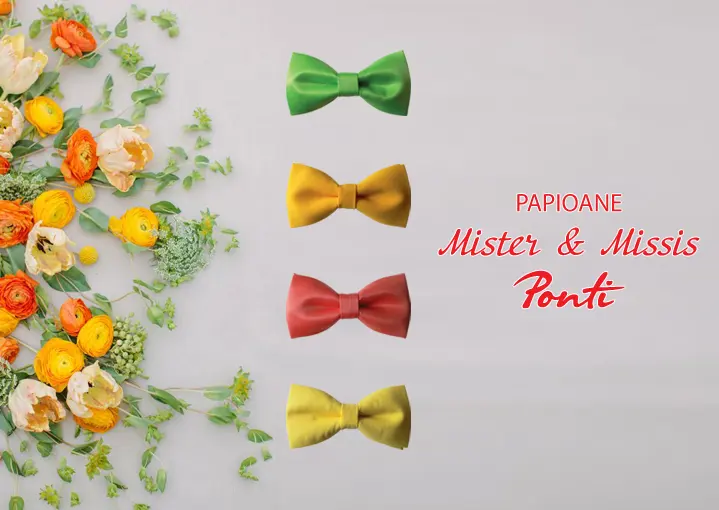 галстуки-бабочки унисекс Mister & Missis Ponti